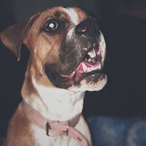 Meet your Posher, Kevin